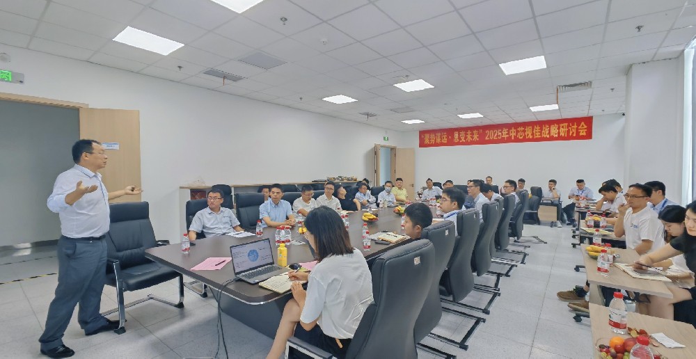 芯視佳成功舉辦“聚勢謀遠(yuǎn)·思變未來”—2025年中戰(zhàn)略研討會