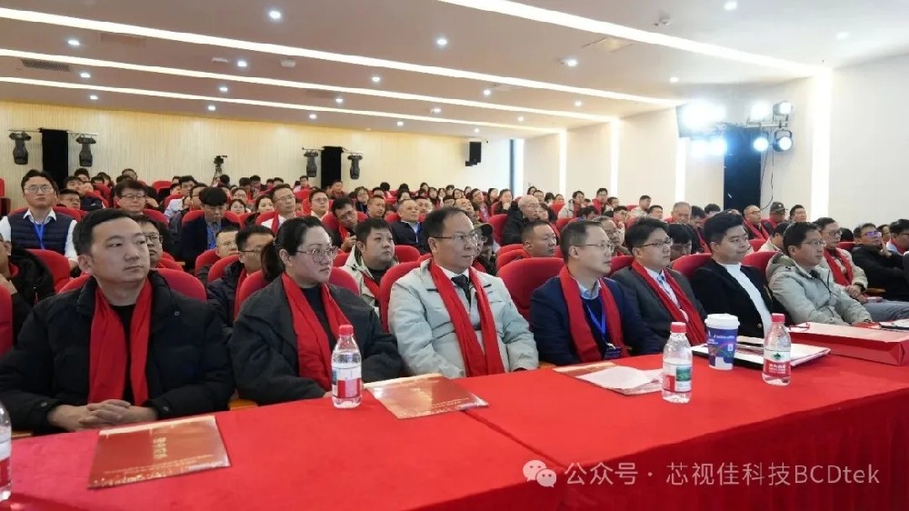 芯視佳2026年全球合作伙伴大會(huì)順利召開：共話合作新框架 共繪產(chǎn)業(yè)新藍(lán)圖
