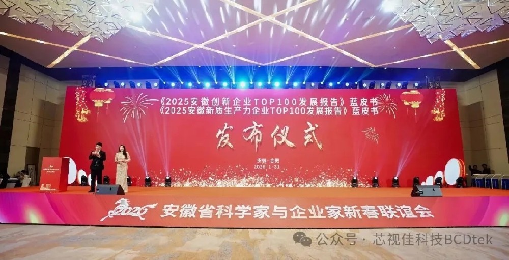 【喜報(bào)】芯視佳榮登2025安徽創(chuàng)新企業(yè)TOP100榜單